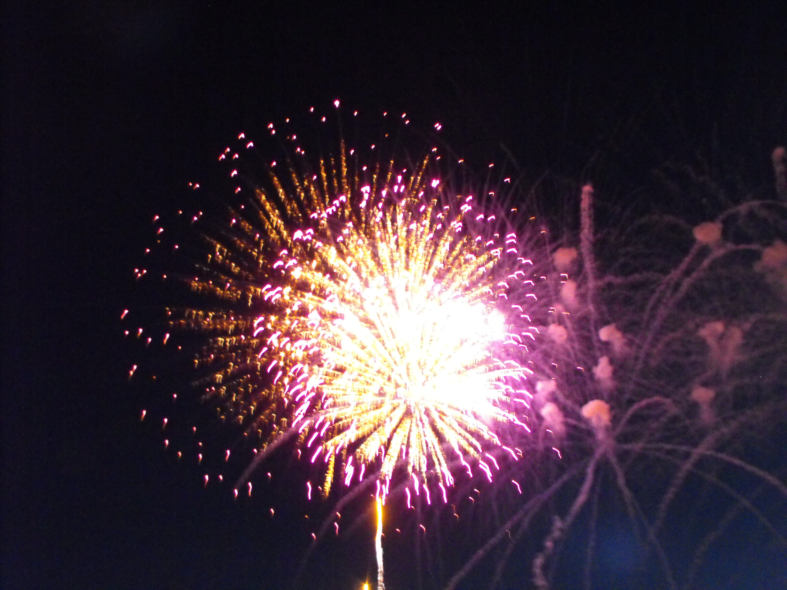./2010/Fourth of July/4th July Fireworks Wilm 0020.JPG